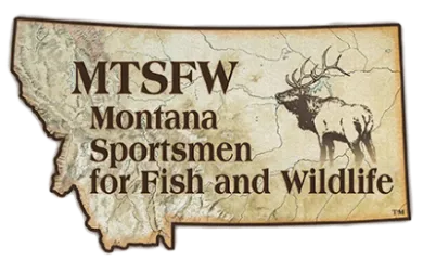 MTSFW logo